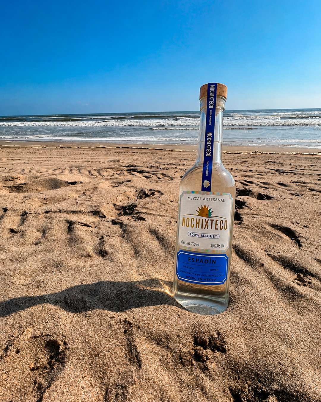 Agave espadín
